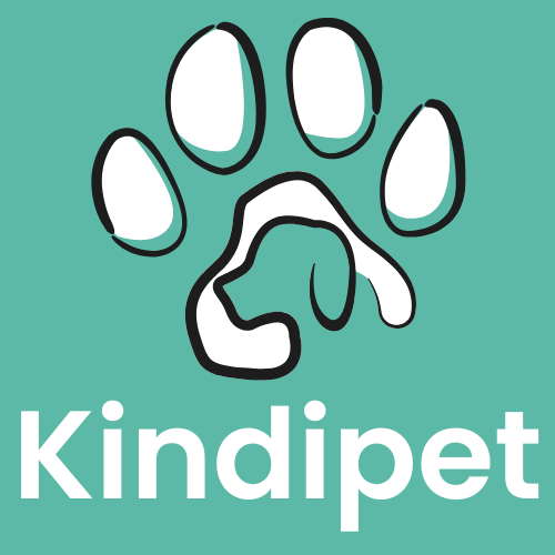 Kindipet