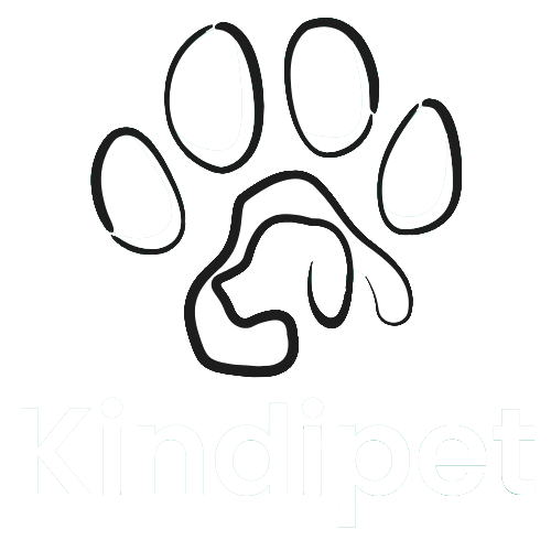 Kindipet